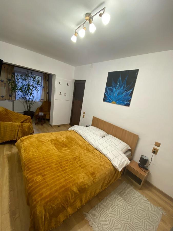 Casa Felice Hotel Brasov Ngoại thất bức ảnh